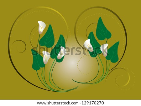 Flowers white callas on a green background