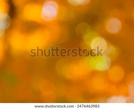 Similar – Image, Stock Photo Autumn colors