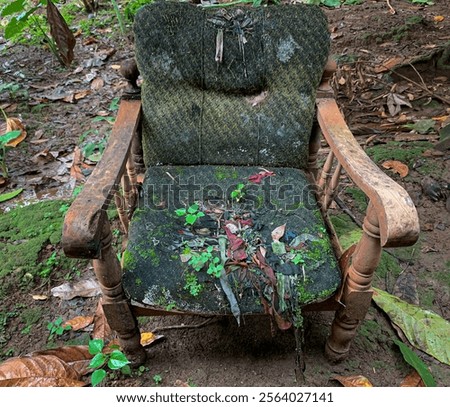 Similar – Image, Stock Photo Vintage sofa in moss green velvet with fringes stands on terracotta tiles. Coziness, old fashioned, past