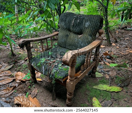 Similar – Image, Stock Photo Vintage sofa in moss green velvet with fringes stands on terracotta tiles. Coziness, old fashioned, past