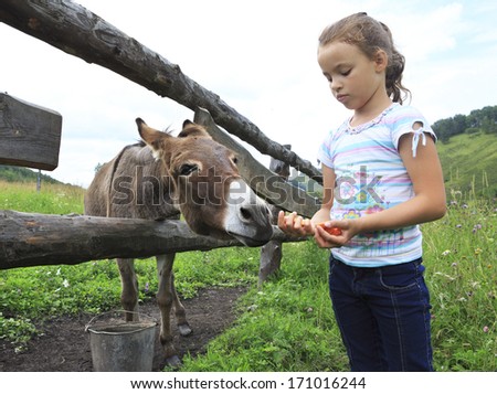 Little girl feeding donkey carrot.