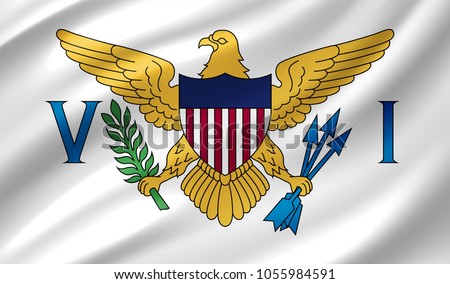 United States Virgin Islands (US) Flag in Vector Illustration