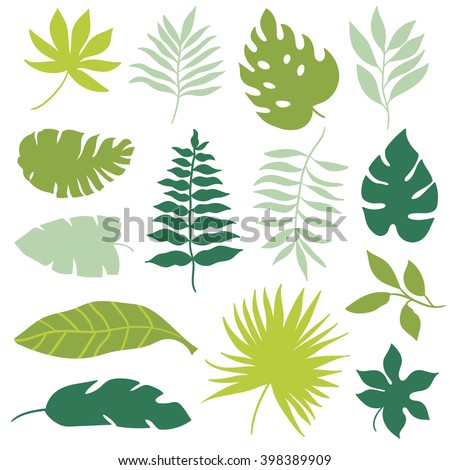 Jungle Leaves Clipart | Free download on ClipArtMag