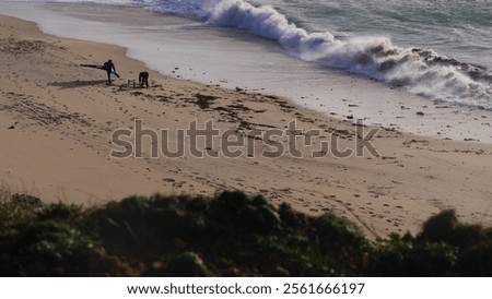 Similar – Image, Stock Photo Dog running on stone pier