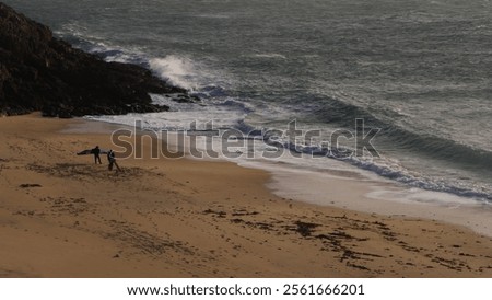 Similar – Image, Stock Photo Dog running on stone pier