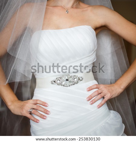 bride in luxury decorated dress with arms akimbo