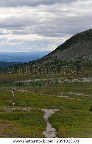 Similar – Image, Stock Photo Unrecognizable woman near forest river