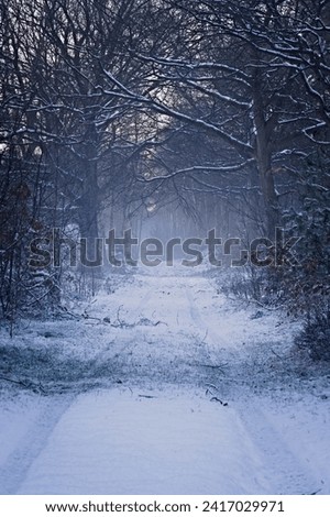 Similar – Image, Stock Photo Forest path in winter with mud and large puddles in which the trees are reflected