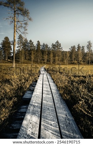 Similar – Image, Stock Photo Wooden path leading through the swamp and forest in a natural park