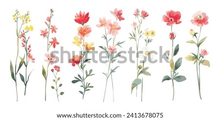 Watercolor Cosmos Flower Painting Bouquets: Minimalist Nature-Inspired Aesthetic Set