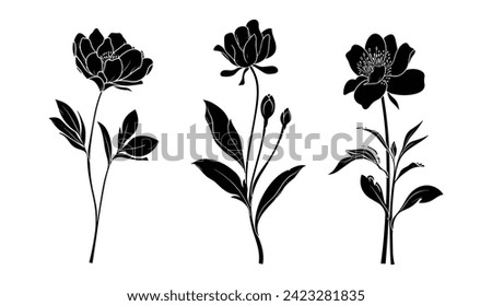 Set of Random Black and White Floral Silhouette Illustration