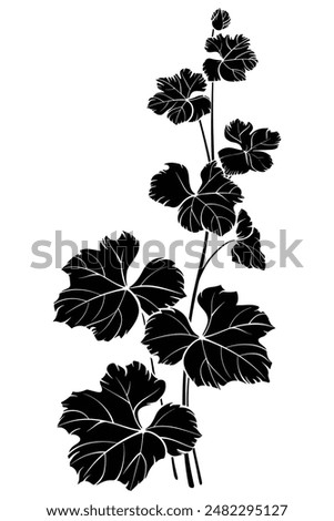 Blackberry bramble silhouette showing five petals on its flowers and multiple leaves