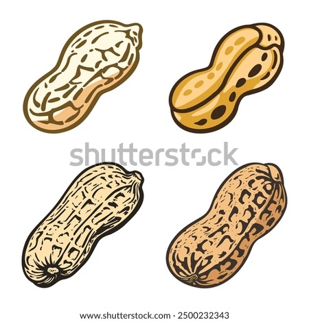 Colorful peanut Vector illustrations. Hand-drawn peanut seeds