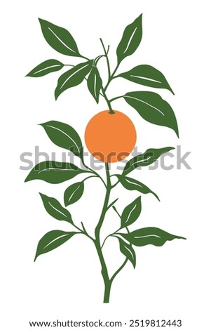 Similar – Image, Stock Photo A single orange hanging from a tree with a clear sky as background