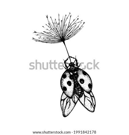 Float N Flies Insect Invertebrate Animal Bird Transparent Png Pngset Com