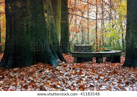 Group seated at a table of stone in the fall forest