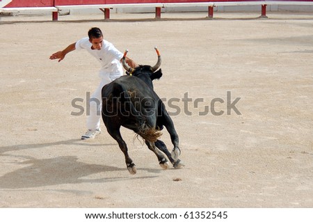 ARLES - JULY 9: Trainees of the school for Raseteur in Arles fights against a Camargue-bull in the arena on July 09, 2010 in Arles, Bouche du Rhone, Fance