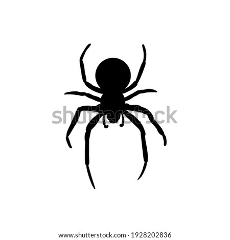 Spider Black Widow. Black bug spider silhouette, isolated white background. Scary Halloween icon, symbol horror, animal arachnid, creepy dangerous insect, arachnophobia fear. Vector illustration