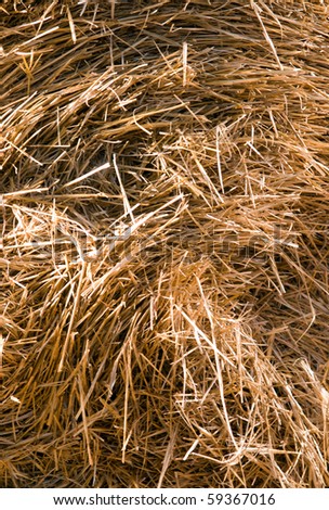 roll of hay on field