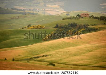 Rolling hills in summer. Pienza, Tuscany, Italy