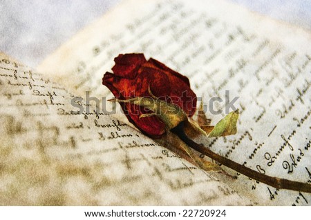 Dried red rose on an open old book with the aged effect