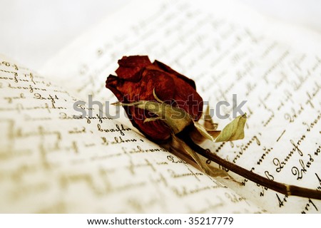 Dried red rose on an open handwritten old book
