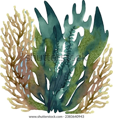 Various types of seaweed with watercolour touches.