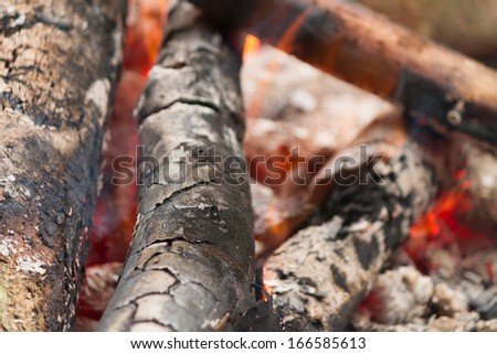 Wood Burning in a fireplace