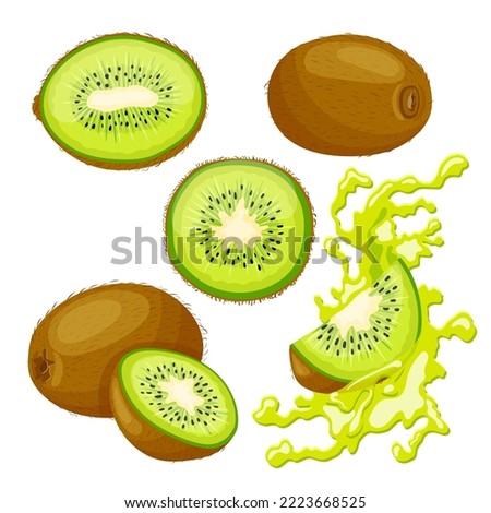 kiwi fruit green set cartoon. slice cut, fresh food, half juicy, sweet organic, piece healthy, kiwifruit diet, seed ripe brown, exotic kiwi fruit green vector illustration