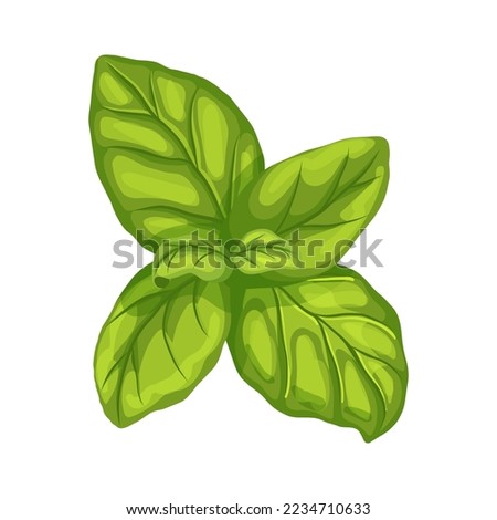 Similar – Image, Stock Photo Fresh basil plant in vintage kitchen with tiles sunlit with shadows