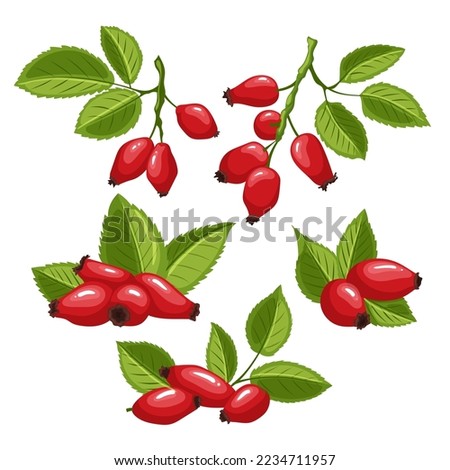 Similar – Image, Stock Photo These are rosehips