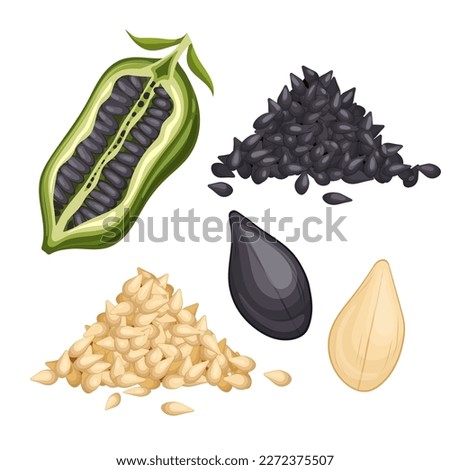 sesame seed food set cartoon. healthy natural, grain ingredient, organic nutrition, raw spice, condiment dry, heap pile sesame seed food vector illustration