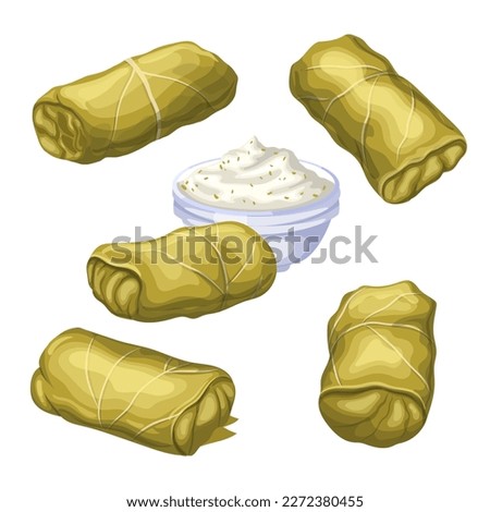 dolma food cuisine set cartoon. stuffed rice, traditional appetizer, leaves leaf, meal grape, sarma dolmades, gourmet turkish dolma food cuisine vector illustration