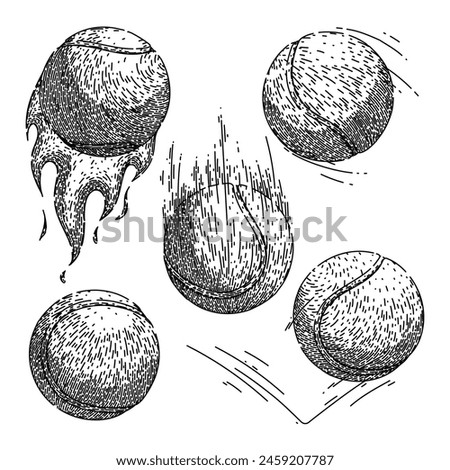 tennis ball set hand drawn. racket green, tenis object, macro view tennis ball vector sketch. isolated black illustration