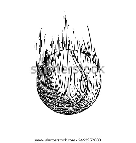 sport tennis ball hand drawn. isolated racket, green tenis, object macro sport tennis ball vector sketch. isolated black illustration