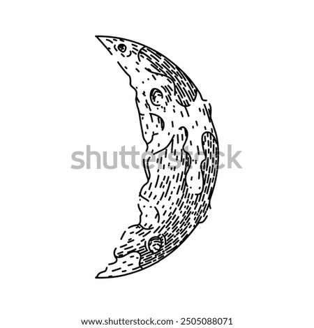 lunar moon hand drawn. eclipse craters, phases orbit, tides surface lunar moon vector sketch. isolated black illustration