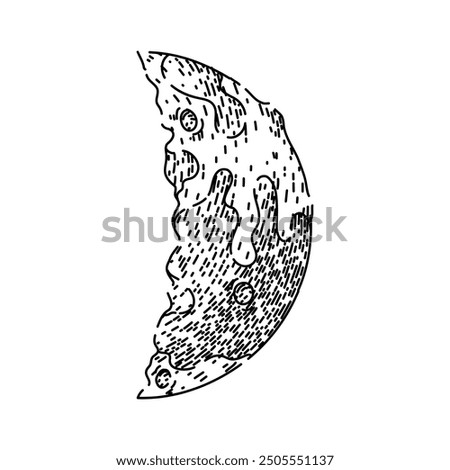 eclipse moon hand drawn. craters phases, orbit tides, surface exploration eclipse moon vector sketch. isolated black illustration