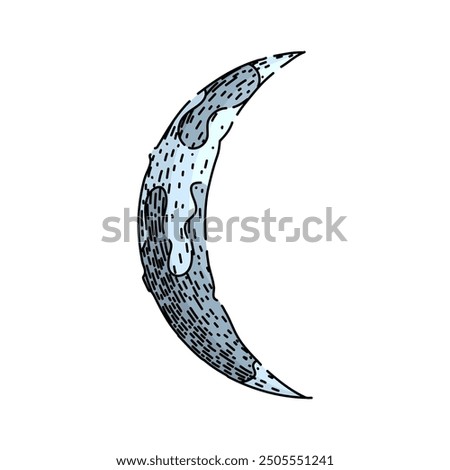 phases moon hand drawn. orbit tides, surface exploration, landing Apollo phases moon vector sketch. isolated color illustration