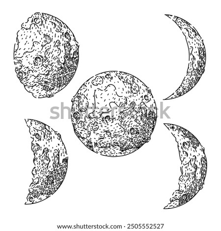 moon set hand drawn. phases orbit, tides surface, exploration landing moon vector sketch. isolated black illustration