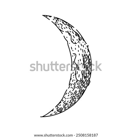 phases moon hand drawn. orbit tides, surface exploration, landing Apollo phases moon vector sketch. isolated black illustration