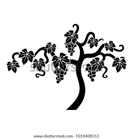 Vector black vine illustration isolated on white background