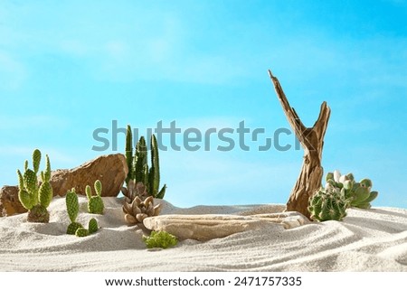 Similar – Image, Stock Photo Large cacti in a greenhouse under a glass roof