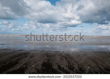 Seashore on cloudy day in autumn