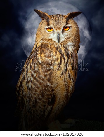 Bubo bubo eagle owl night bird in full moon cloudy dramatic night [photo-illustration]