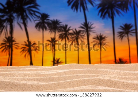 tropical palm tree sunset sky on sand dune beach desert