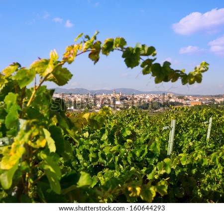Requena in Valencia province a wine region of Spain from vineyard view