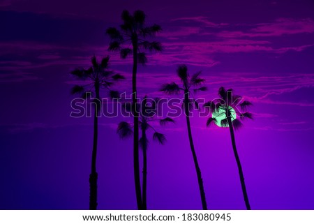 California high palm trees sunset sky silohuette background USA photo mount [photo illustration]
