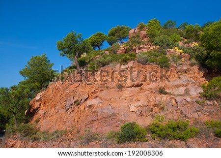 Castellon Desierto de las Palmas desert red mountains with pines at Spain