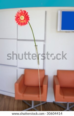 Nice modern interior design lobby, orange daisy gerbera flower