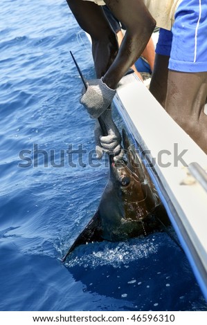 African man holding sailfish on sport fishing boat in atlantic saltwater